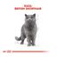85 g Royal Canin comida húmida British Shorthair Adult, , large Indicador imagem número 3