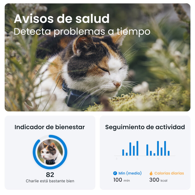 Iberoluso Tractive Localizador GPS para gatos,  Imagem número 7 Iberoluso Tractive Localizador GPS para gatos, , large Imagem número 7