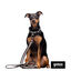 Gotoo Trela mesh cinza refletora para cães, , large Indicador imagem número 3