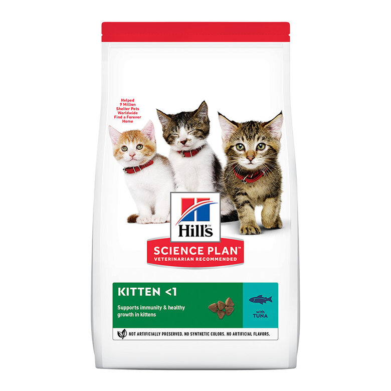 Hill's Kitten Science Plan Atum ração, , large image number null