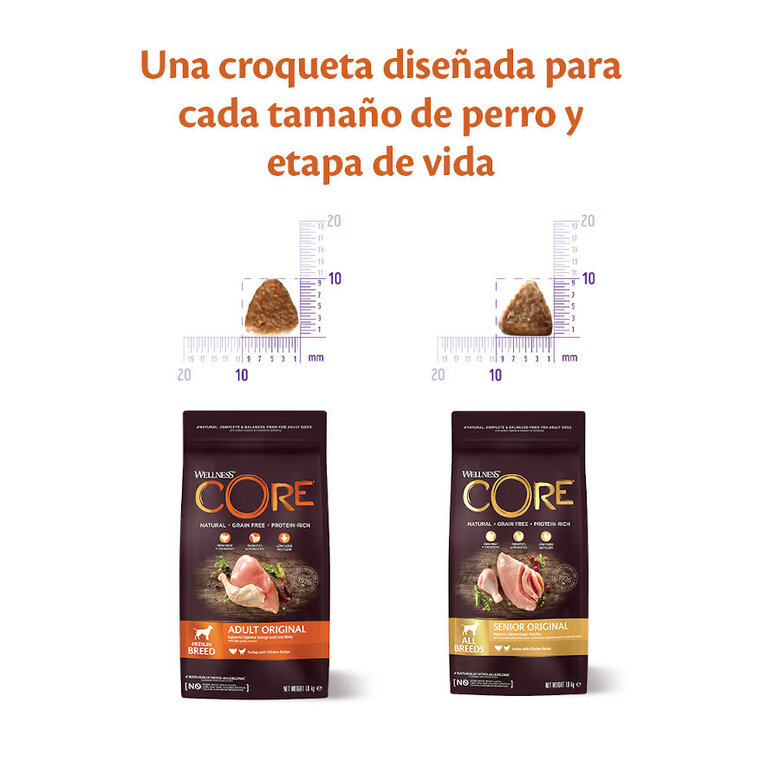 10 kg Wellness Core Adult Medium Original Peru e Frango ração para cães ,  Imagem número 3 10 kg Wellness Core Adult Medium Original Peru e Frango ração para cães , , large Imagem número 3