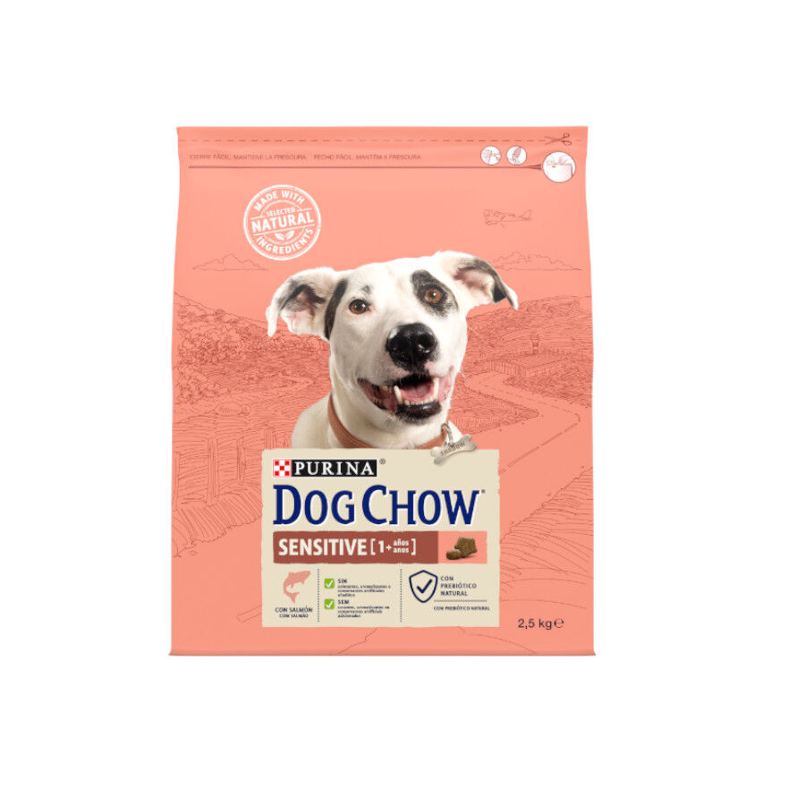 2.5 kg Dog Chow Sensitive com salm&atilde;o ra&ccedil;&atilde;o para c&atilde;es, , large Imagem n&uacute;mero 1