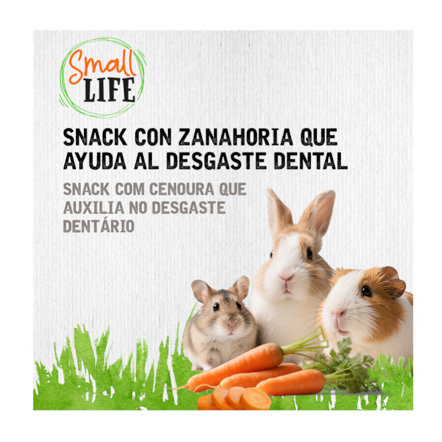 100 g Small Life Rolo de Feno com Cenoura Snack para roedores e coelhos, , large Imagem n&uacute;mero 3