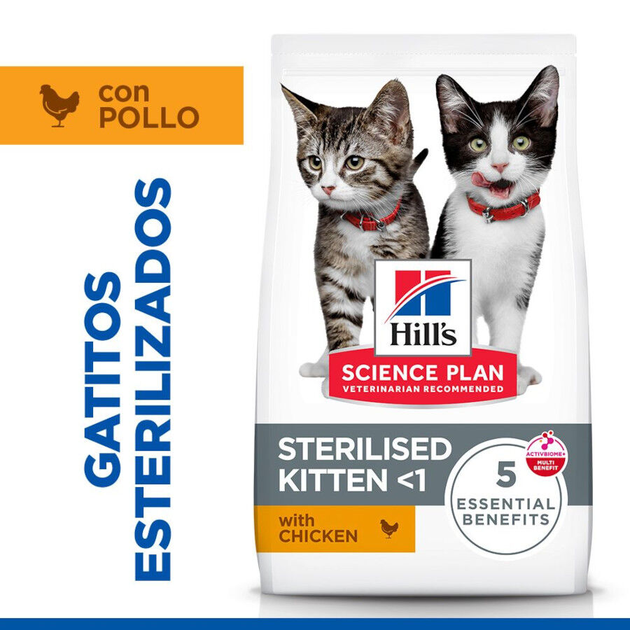 7 kg &nbsp; Hill's Kitten Science Plan Sterilized Frango ra&ccedil;&atilde;o, , large Imagem n&uacute;mero 2