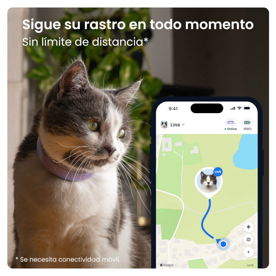 Tractive CAT 6 Mini Lavanda GPS para gatos, , large Imagem n&uacute;mero 2