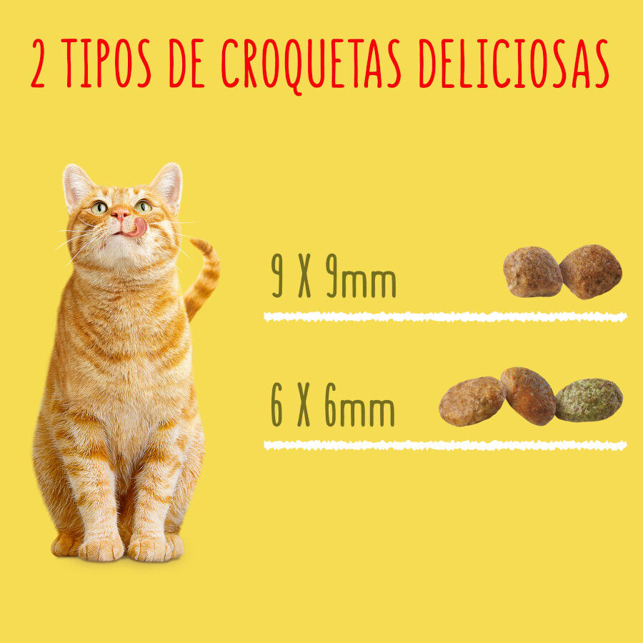1.5 kg Friskies peru e legumes para Gatos Esterilizados, , large Imagem n&uacute;mero 8