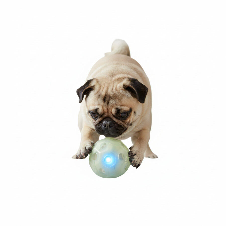 All For Paws Brinquedo Knite bola com luz para c&atilde;es, , large Imagem n&uacute;mero 3