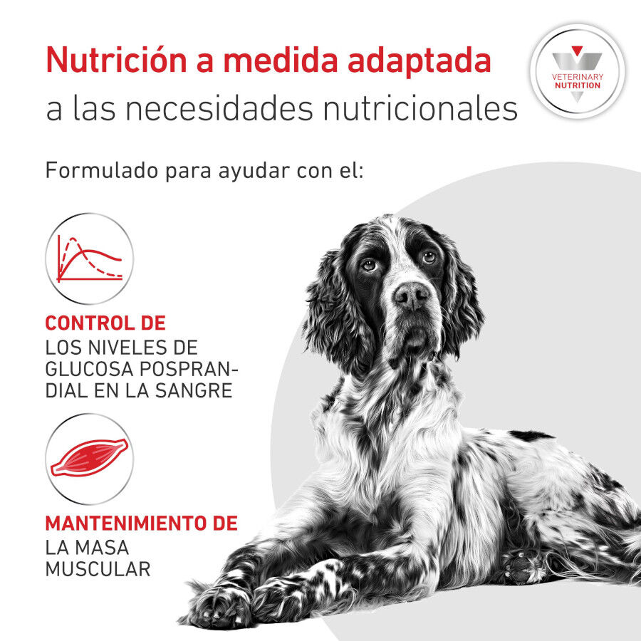 410 g Royal Canin Veterinary Diabetic latas para c&atilde;es, , large Imagem n&uacute;mero 3