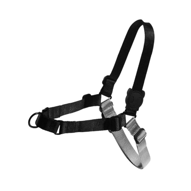 Zeedog Soft Gotham Peitoral Preto para cães ,  Imagem número 1 Zeedog Soft Gotham Peitoral Preto para cães , , large Imagem número 1