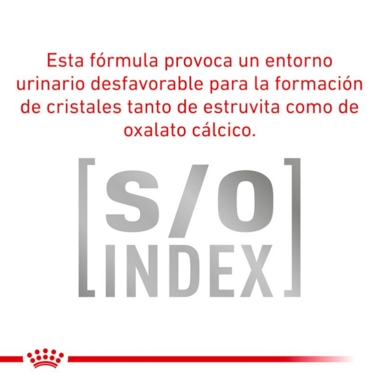 410 g Royal Canin Veterinary Sensitivity Control Mousse de Galinha e Arroz lata para cães,  Imagem número 2 410 g Royal Canin Veterinary Sensitivity Control Mousse de Galinha e Arroz lata para cães, , large Imagem número 2