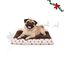 Wonder Christmas Almofada para c&atilde;es, , large Indicador imagem n&uacute;mero 1