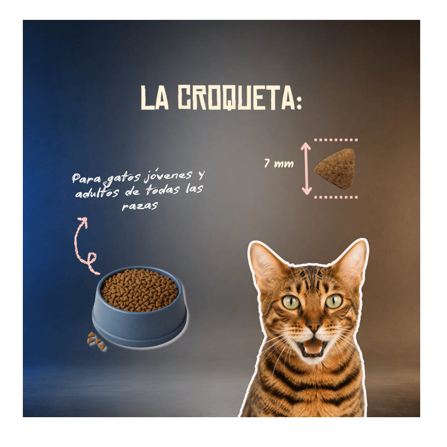 5 Kg Lenda Grain Free Light Ra&ccedil;&atilde;o de Coelho e Porco para gatos, , large Imagem n&uacute;mero 6