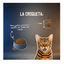 5 Kg Lenda Grain Free Light Ra&ccedil;&atilde;o de Coelho e Porco para gatos, , large Indicador imagem n&uacute;mero 6