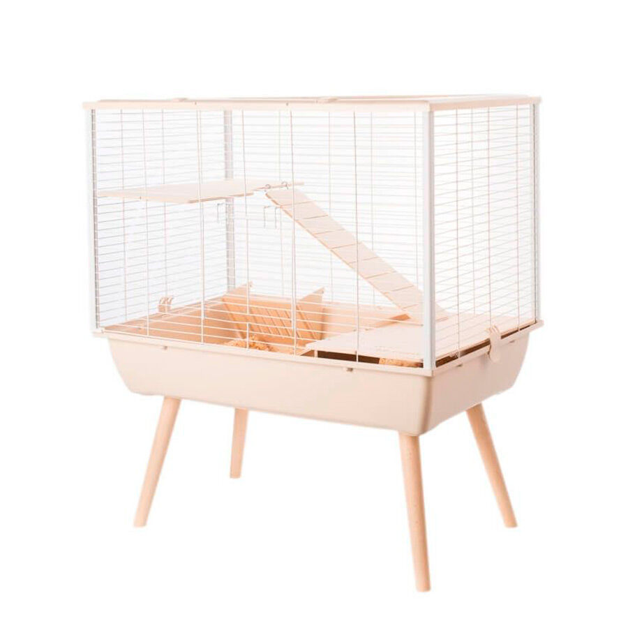 &nbsp;, , large Imagem n&uacute;mero 1