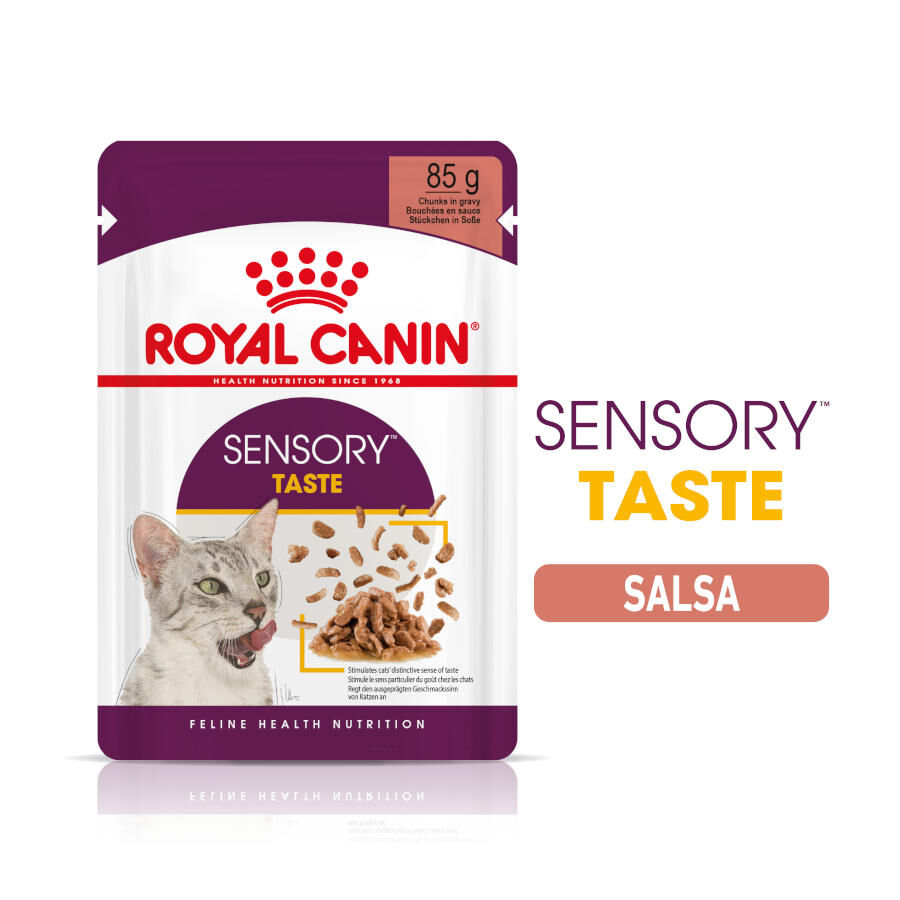 85 g Royal Canin Adult Sensory Taste molho saqueta para gatos, , large Imagem n&uacute;mero 1