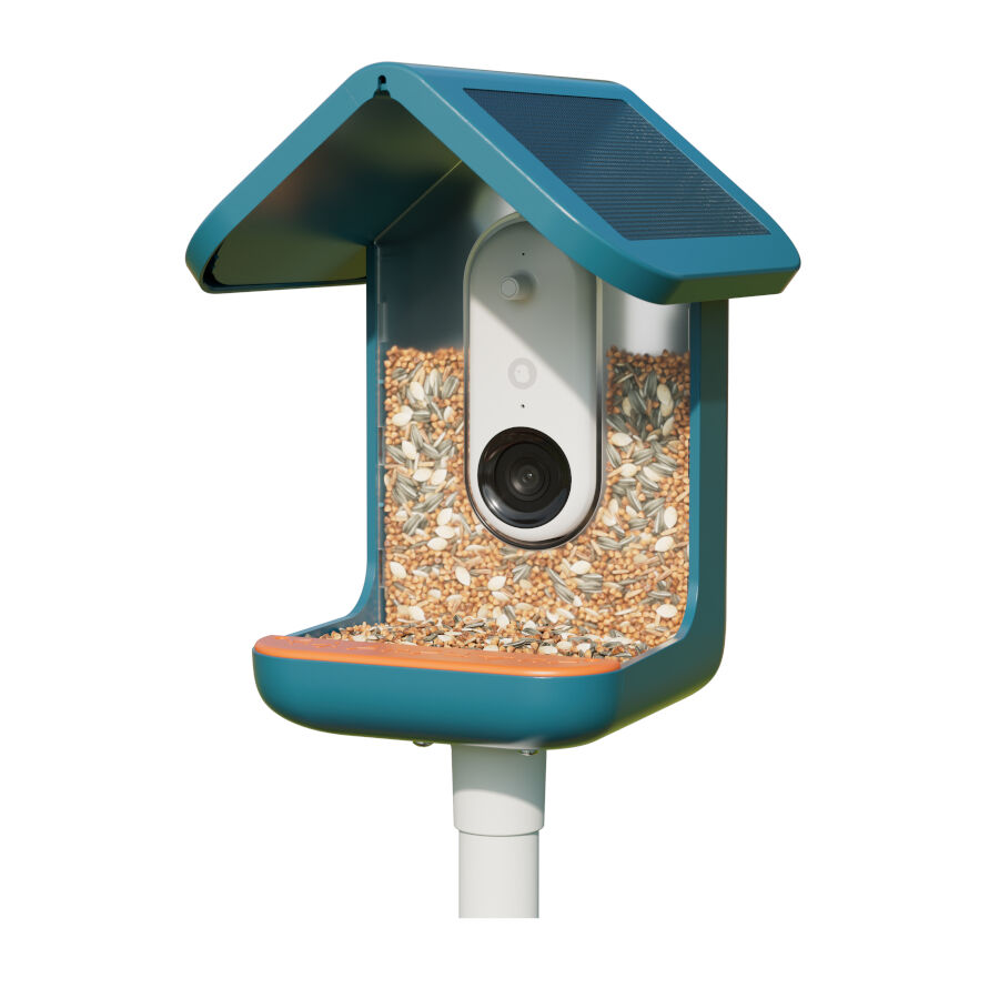 Birdbuddy Comedouro Inteligente com C&acirc;mara para P&aacute;ssaros, , large Imagem n&uacute;mero 3
