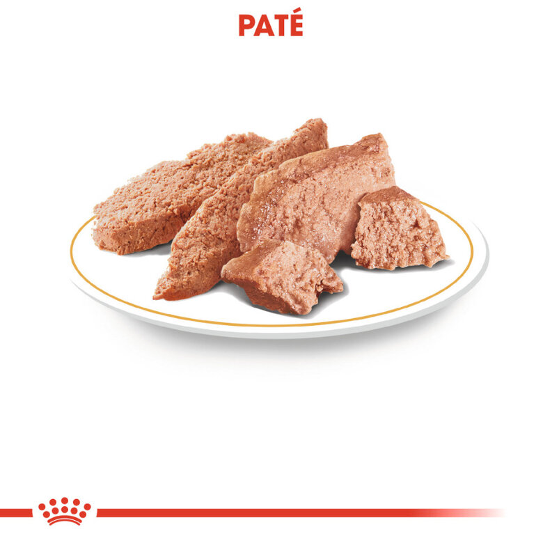 85 g Royal Canin Adult Poodle Patê saqueta para cães,  Imagem número 2 85 g Royal Canin Adult Poodle Patê saqueta para cães, , large Imagem número 2