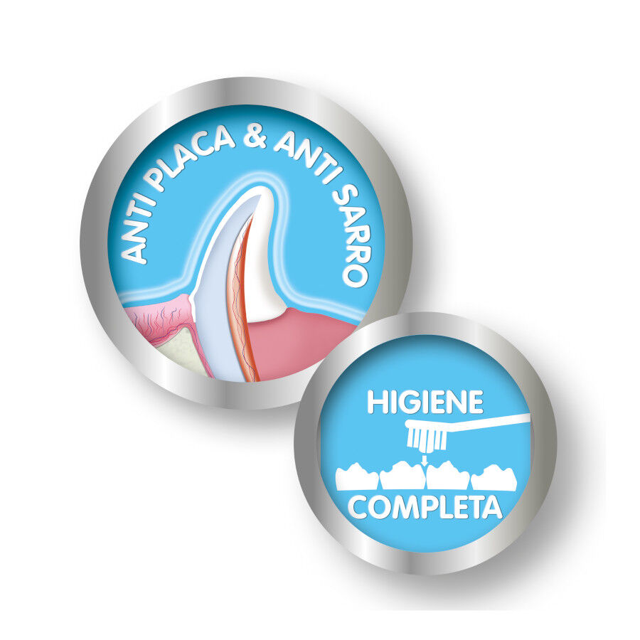 Beaphar Kit dent&aacute;rio para c&atilde;es, , large Imagem n&uacute;mero 4