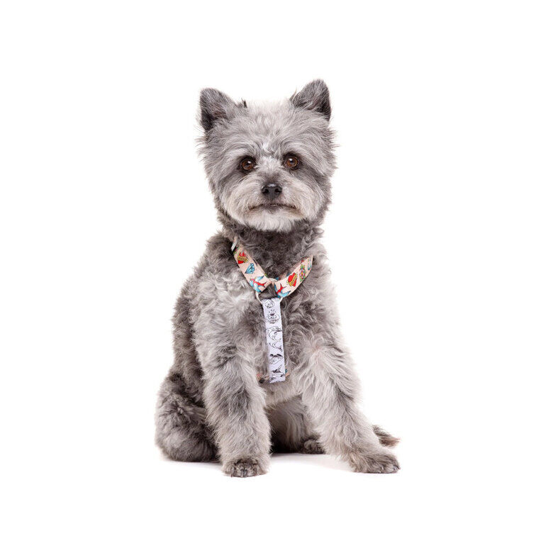 Dukier Cl&aacute;ssico Peitoral com Estampado de Tatuagem para c&atilde;es , , large Imagem n&uacute;mero 2