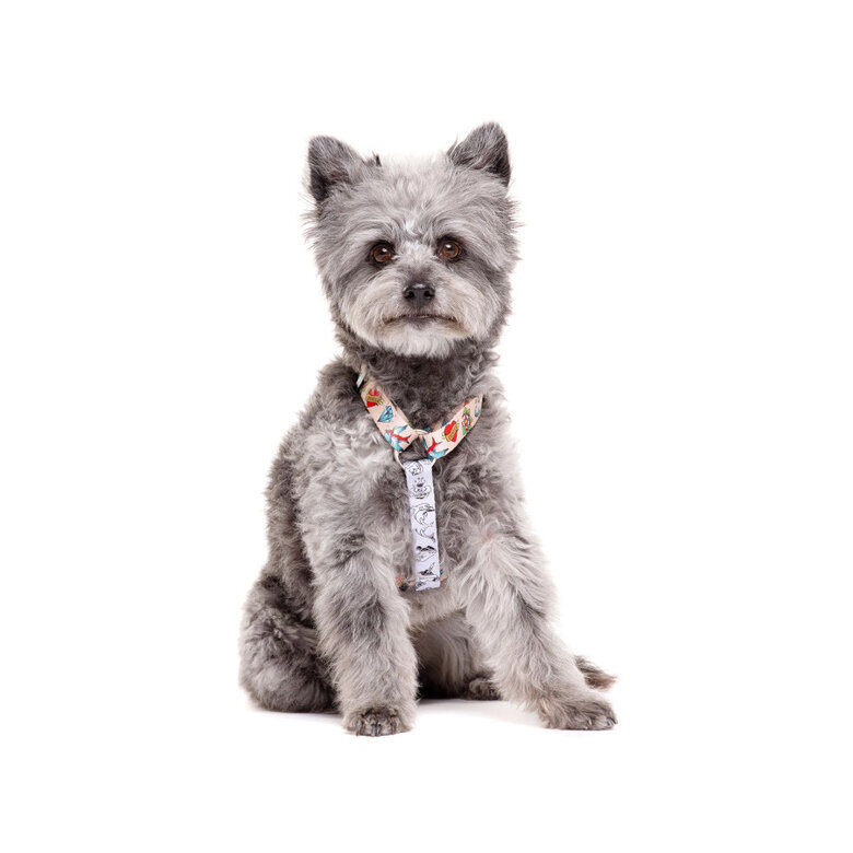 Dukier Clássico Peitoral com Estampado de Tatuagem para cães ,  Imagem número 2 Dukier Clássico Peitoral com Estampado de Tatuagem para cães , , large Imagem número 2