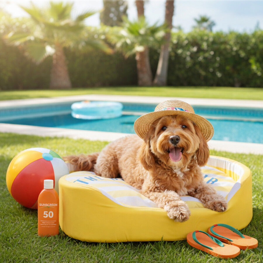 Summer Vibes Cool Bed Dolce Vita Cama Refrescante para c&atilde;es, , large Imagem n&uacute;mero 1
