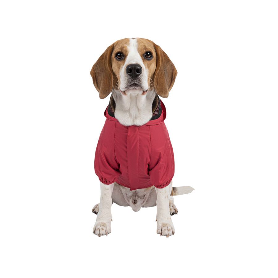 Gotoo Casaco Imperme&aacute;vel Refletor Vermelho para c&atilde;es, , large Imagem n&uacute;mero 7