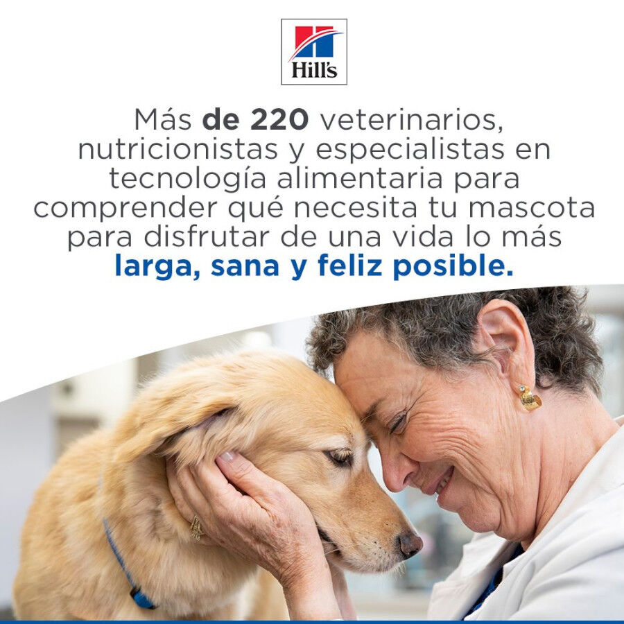 14 kg Hill's Science Plan Large Mature Adult YouthFul Vitality Frango ra&ccedil;&atilde;o para c&atilde;es, , large Imagem n&uacute;mero 8