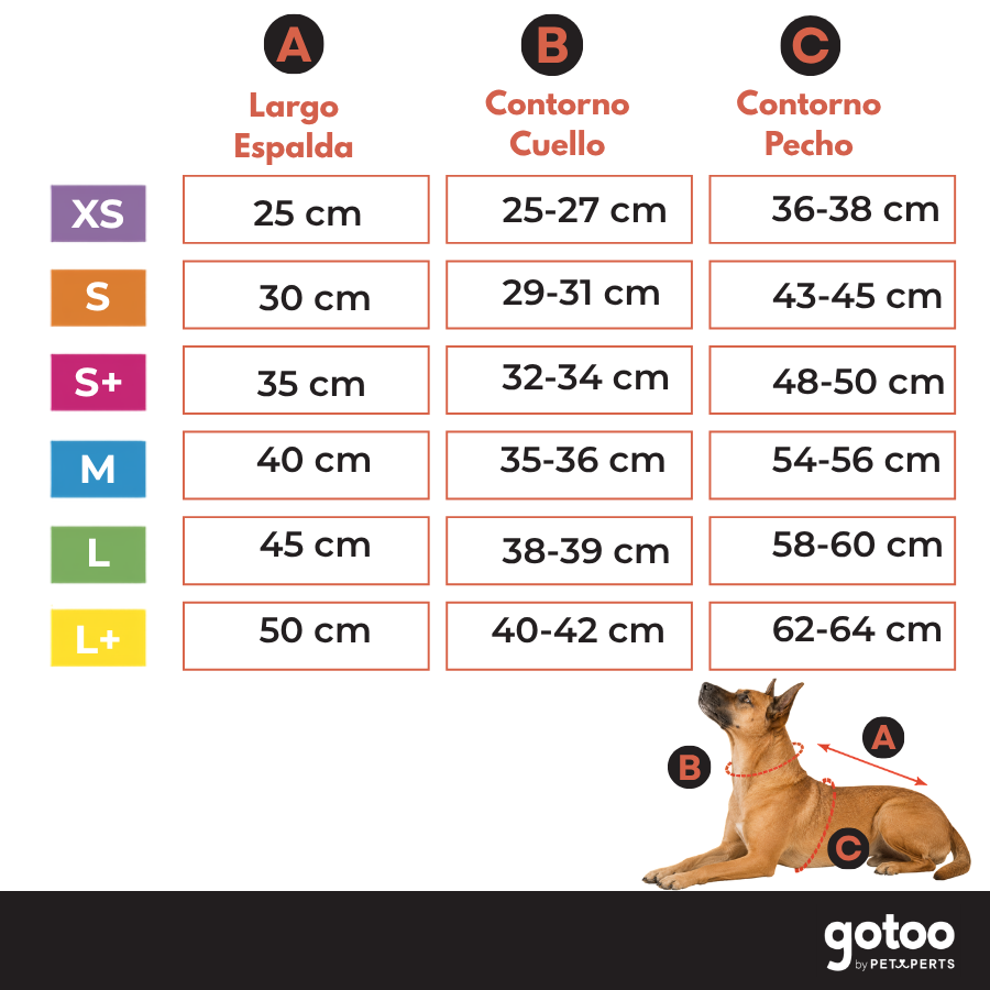 Gotoo Casaco Azul e Cinzento para c&atilde;es, , large Imagem n&uacute;mero 5