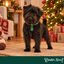 Wonder Christmas Pendente para coleira &Aacute;rvore de Natal para c&atilde;es, , large Indicador imagem n&uacute;mero 2