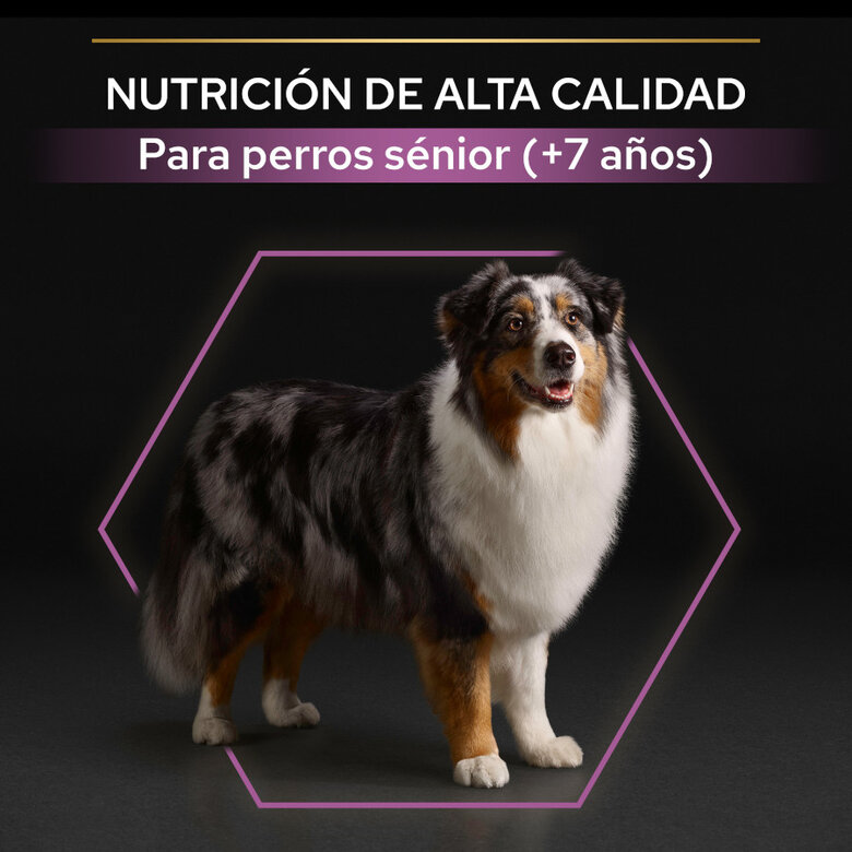 14 kg Pro Plan Adult Medium Y Large Frango ração para cães seniores,  Imagem número 8 14 kg Pro Plan Adult Medium Y Large Frango ração para cães seniores, , large Imagem número 8