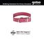 Gotoo Coleira Biothane vermelho vinho para cães, , large Indicador imagem número 4