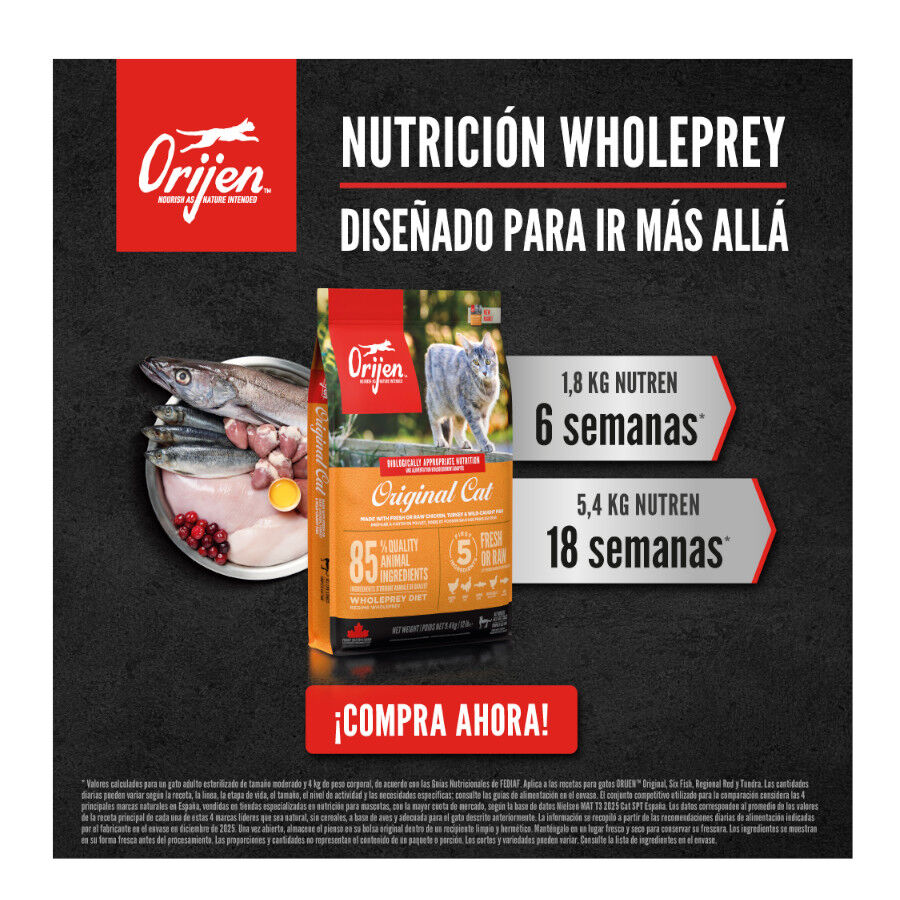 5.4 kg Orijen Original ra&ccedil;&atilde;o para gatos e gatinhos, , large Imagem n&uacute;mero 9