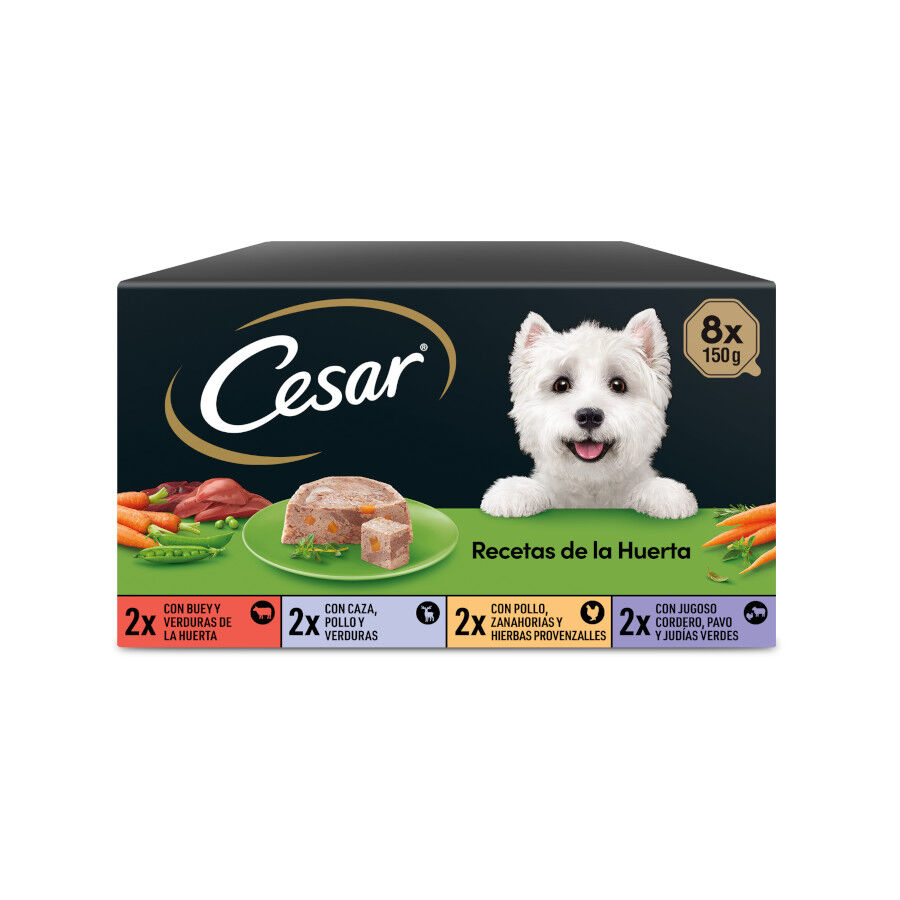 8 terrinas x 150 g Cesar Recetas da horta Terrina em Pat&ecirc; e Geleia para C&atilde;es - Multipack, , large Imagem n&uacute;mero 1