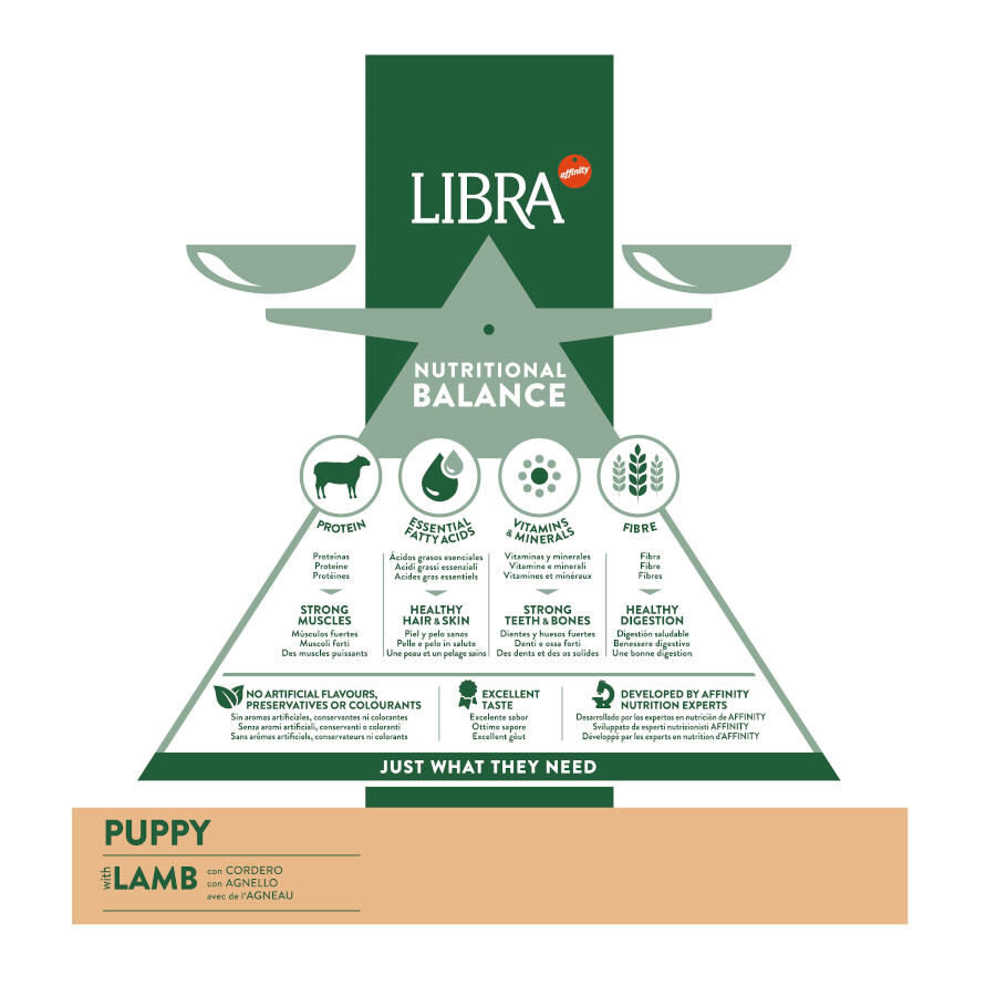 3 kg Affinity Libra Puppy Ra&ccedil;&atilde;o de cordeiro e arroz para c&atilde;es, , large Imagem n&uacute;mero 4