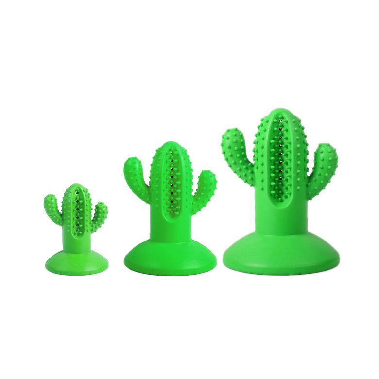 Tootoy! Chew Dental Hygiene Cactus Mordedor para cães,  Imagem número 3 Tootoy! Chew Dental Hygiene Cactus Mordedor para cães, , large Imagem número 3