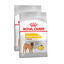 2 x 12 kg Royal Canin Medium Dermacomfort ração para cães Pack poupança!, , large Indicador imagem número 1