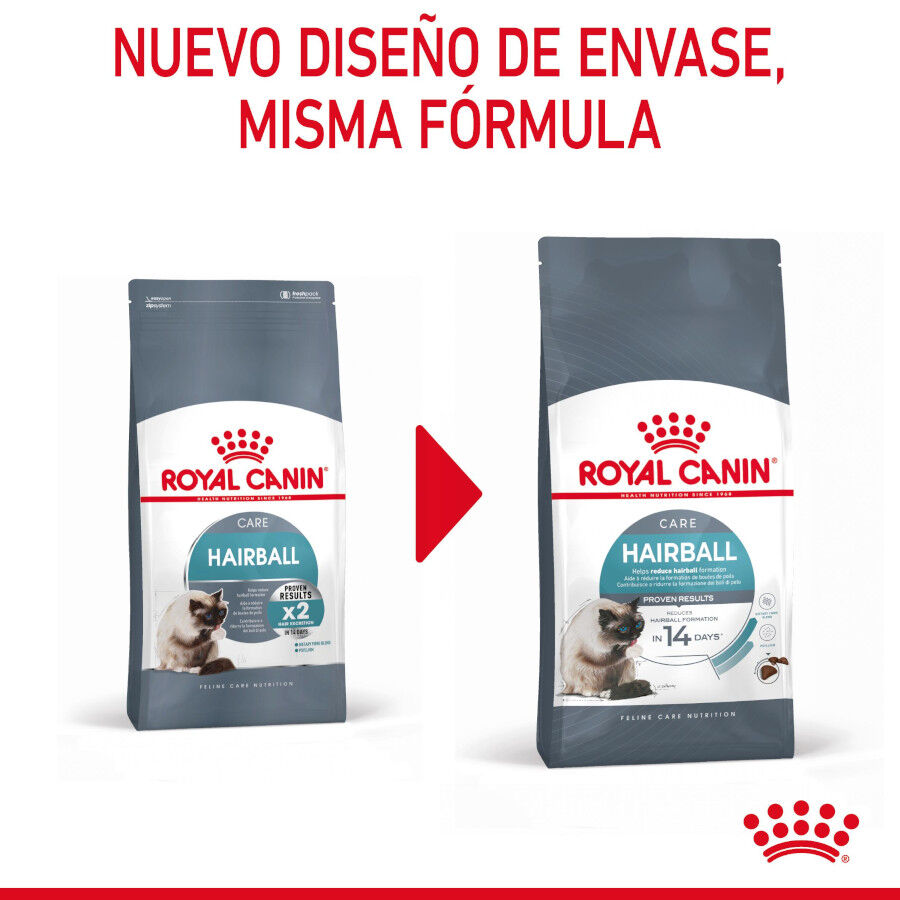 10 kg Royal Canin Intense Hairball ra&ccedil;&atilde;o para gatos, , large Imagem n&uacute;mero 3