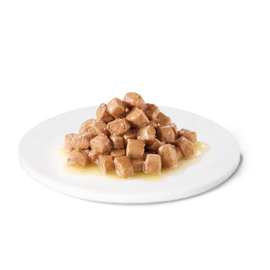 100 g Advance Recovery Saquetas para c&atilde;es e gatos, , large Imagem n&uacute;mero 3