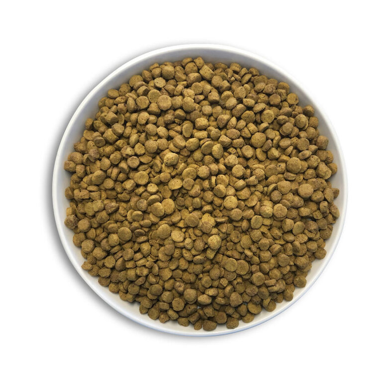 1 kg Cunipic Alpha Pro Parrots Natural Blend Comida para Papagaios,  Imagem número 3 1 kg Cunipic Alpha Pro Parrots Natural Blend Comida para Papagaios, , large Imagem número 3