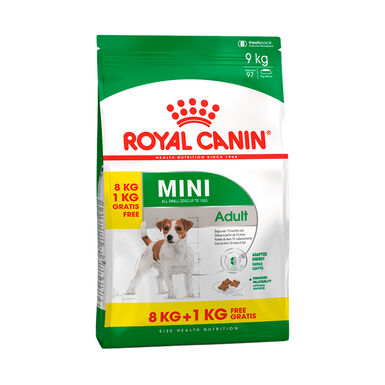 Royal Canin Mini Adult ração para cães 