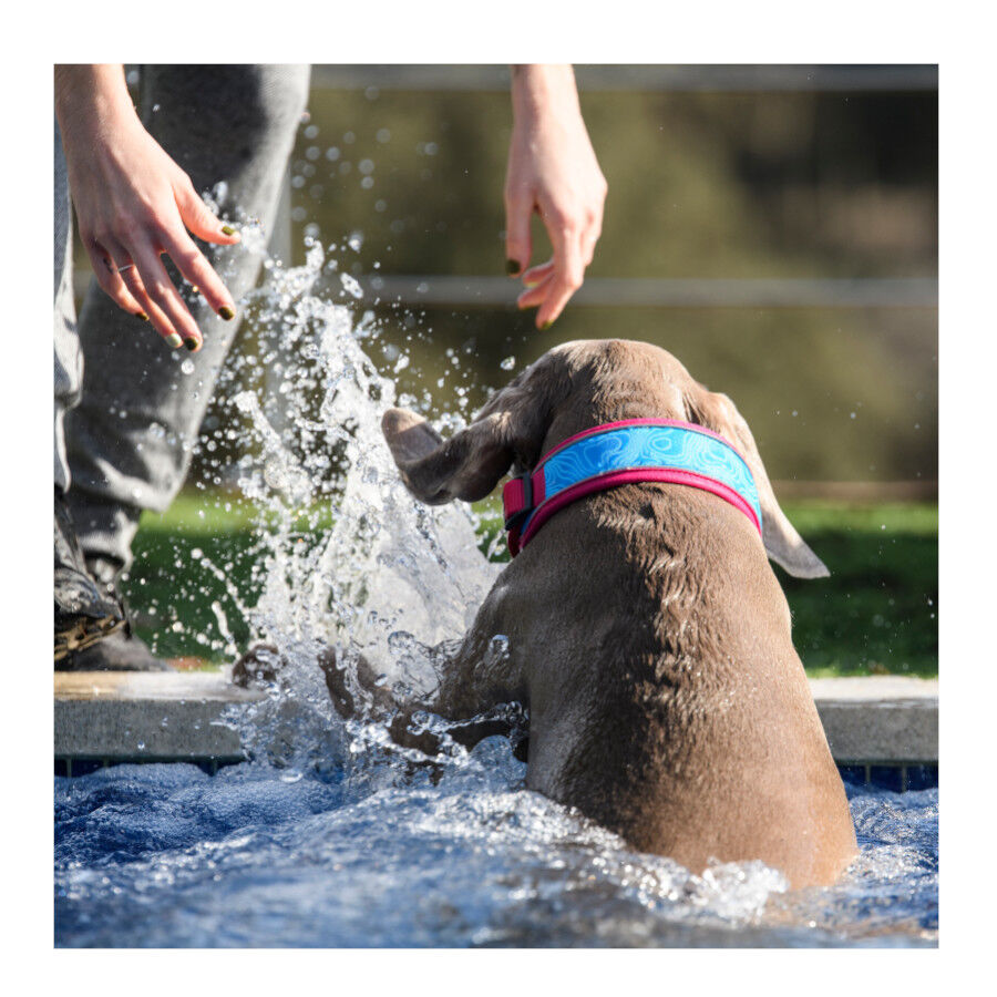 Freedog Cool Pro Tech Coleira Desportiva F&uacute;scia para c&atilde;es, , large Imagem n&uacute;mero 6