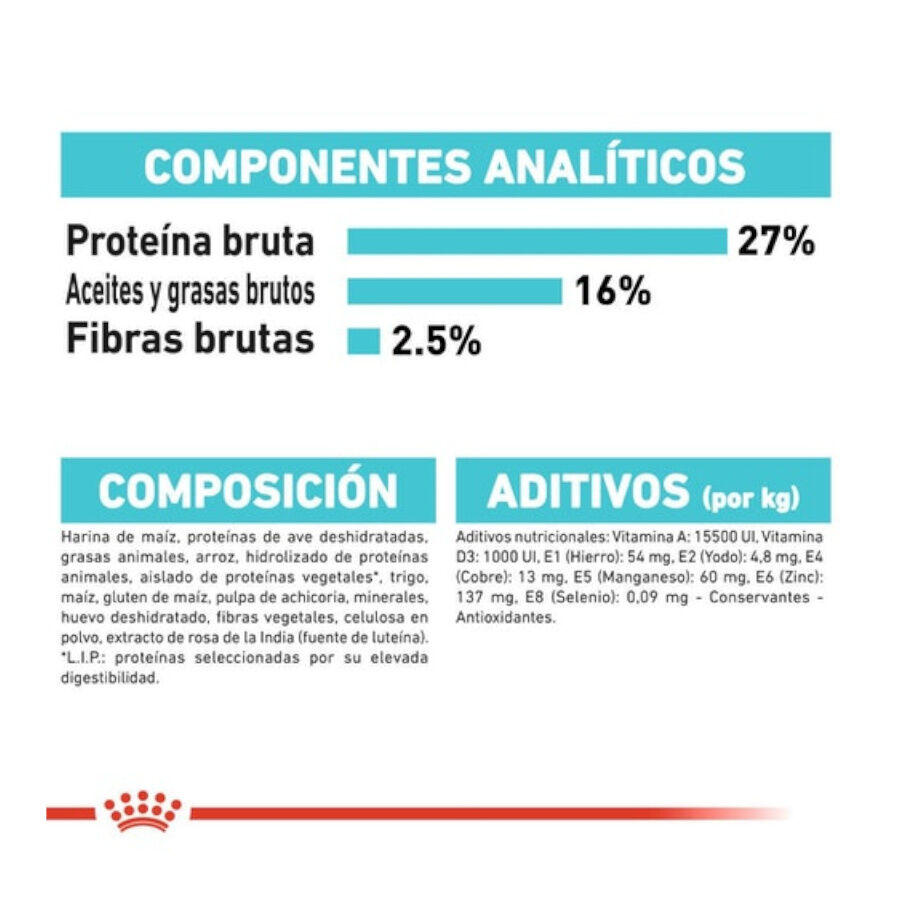 3 kg Royal Canin Mini Urinary Care ra&ccedil;&atilde;o para c&atilde;es, , large Imagem n&uacute;mero 5