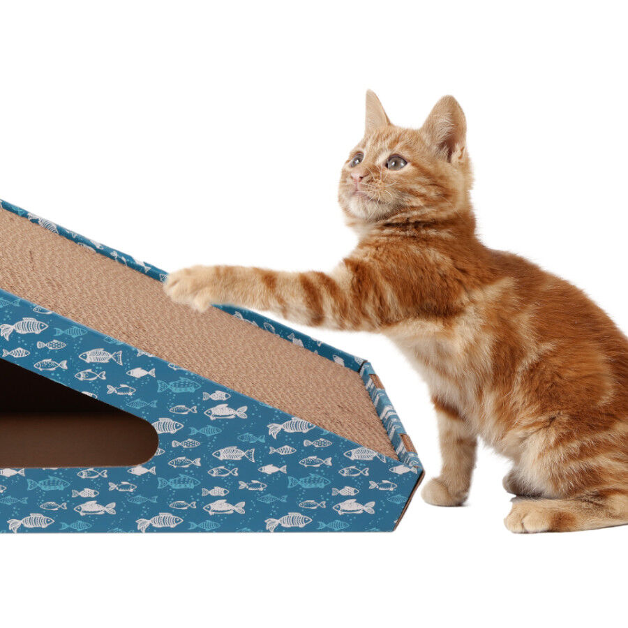 Leeby Walter arranhador de cart&atilde;o horizontal com bola e estampado de peixes para gatos, , large Imagem n&uacute;mero 2