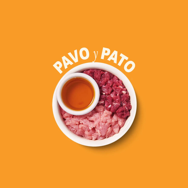 8 terrinas x 85 g Lily's Kitchen Feline Smooth Selection patê terrinas - Multipack,  Imagem número 6 8 terrinas x 85 g Lily's Kitchen Feline Smooth Selection patê terrinas - Multipack, , large Imagem número 6