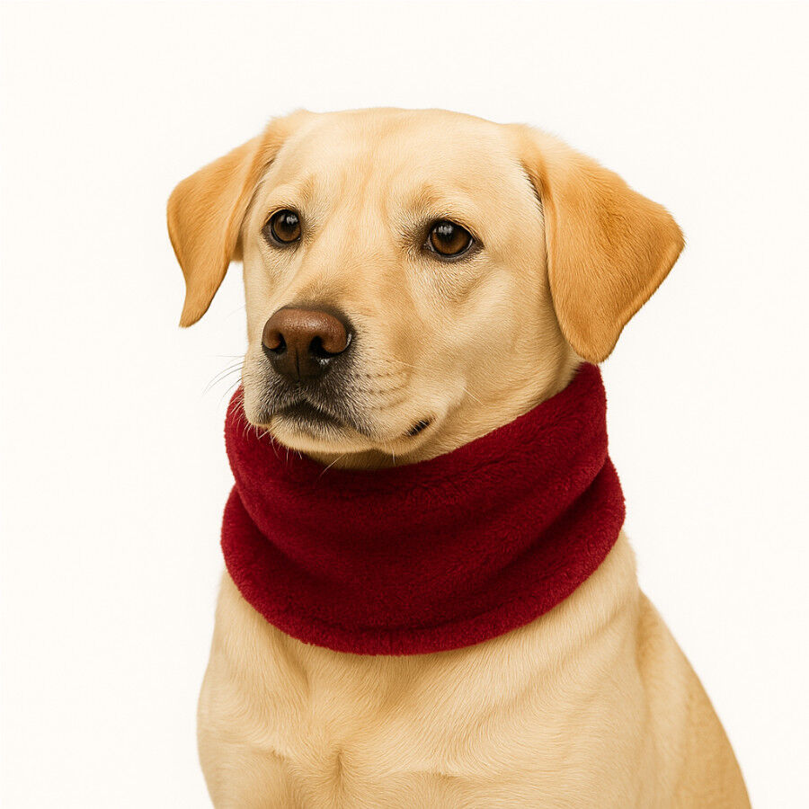 Outech Cachecol Vermelho para c&atilde;es, , large Imagem n&uacute;mero 3