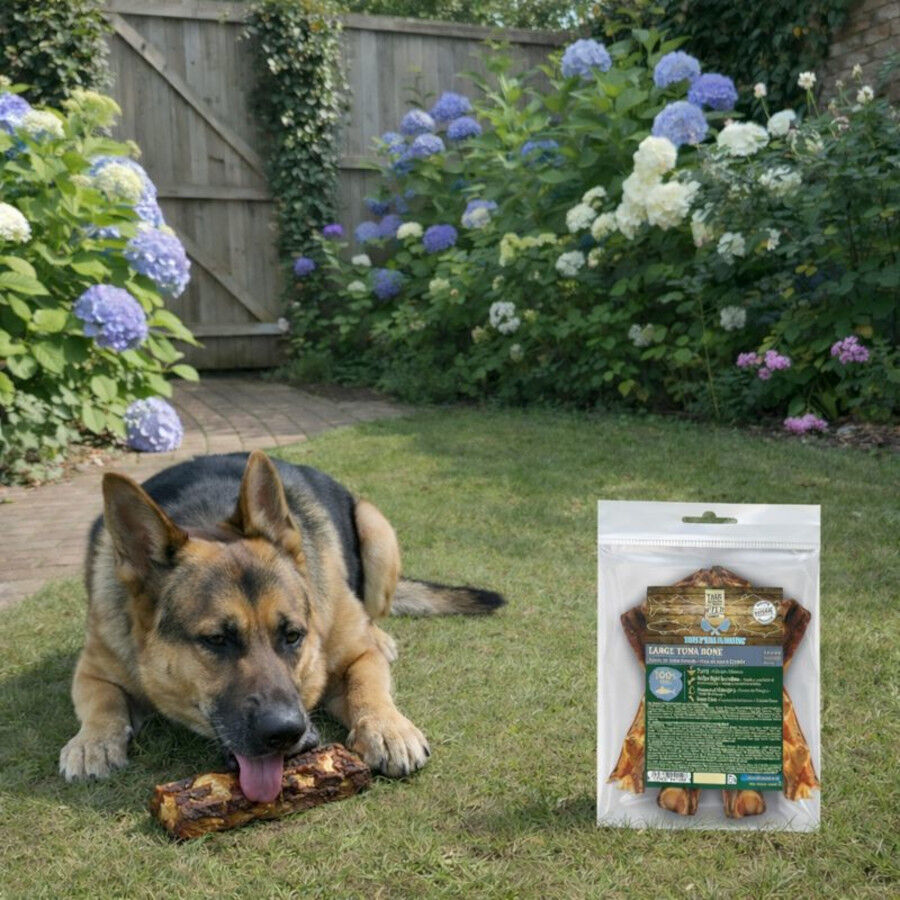 2 uds. True Origins Hueso de At&uacute;n Grande Snack para perros, , large Imagem n&uacute;mero 1