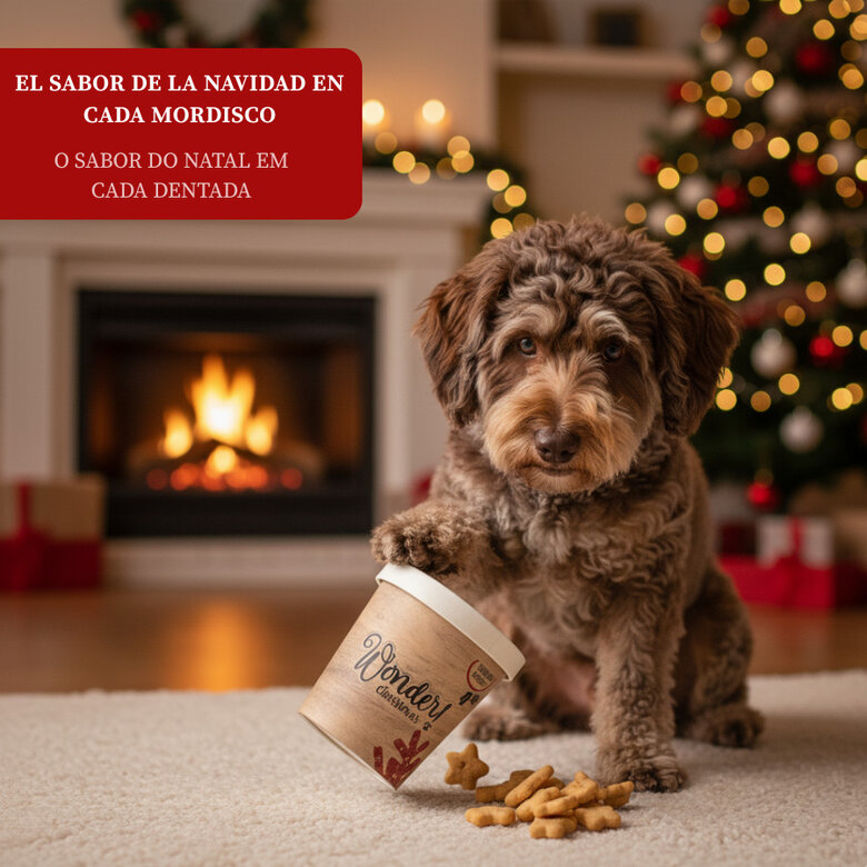 248 g Wonder Christmas Mini Biscoitos de Natal para cães,  Imagem número 4 248 g Wonder Christmas Mini Biscoitos de Natal para cães, , large Imagem número 4