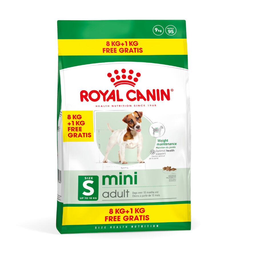 9 kg (8 + 1 kg &iexcl;gratis!) Royal Canin Mini Adult ra&ccedil;&atilde;o para c&atilde;es, , large Imagem n&uacute;mero 1