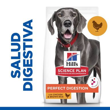 Hill's Large Adult Science Plan Perfect Digestion Frango ração para cães