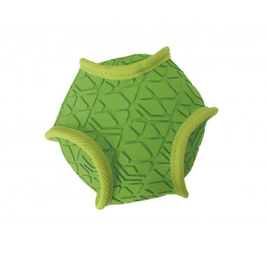 Nayeco Hard Ultra Squeak bola verde para cães